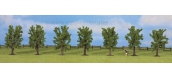 noch 25088 arbres feuillus